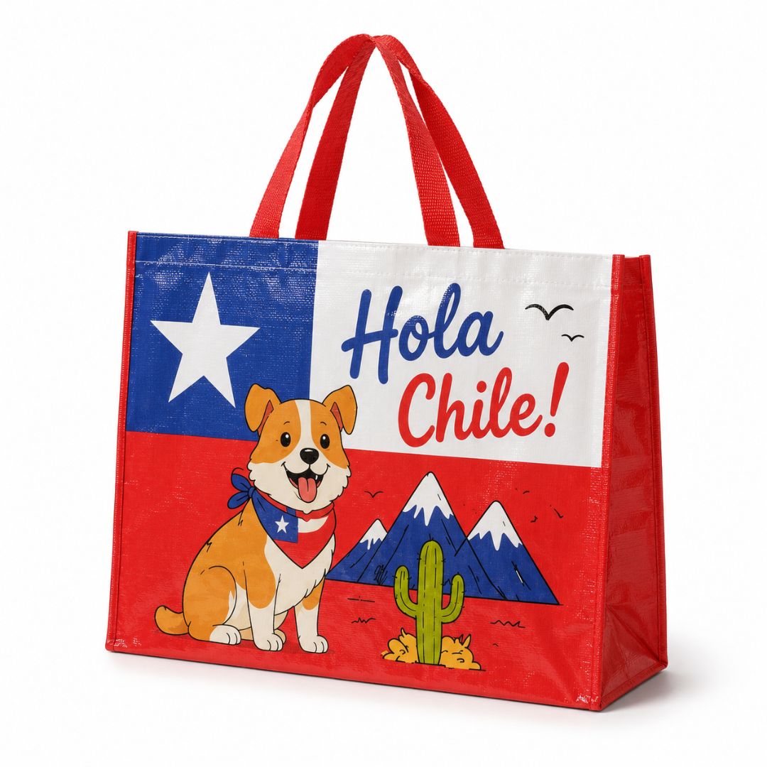 Pack De 12 Bolsa Tejida Ecológica Hola Chile 52x42x20 cm