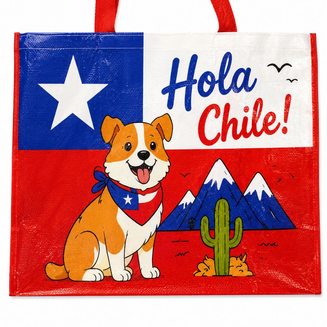Pack De 12 Bolsa Tejida Ecológica Hola Chile 52x42x20 cm