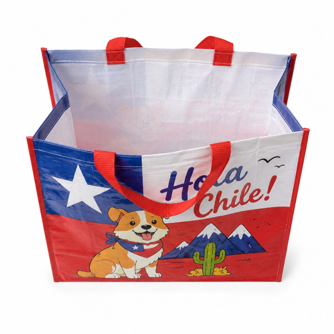 Pack De 12 Bolsa Tejida Ecológica Hola Chile 52x42x20 cm