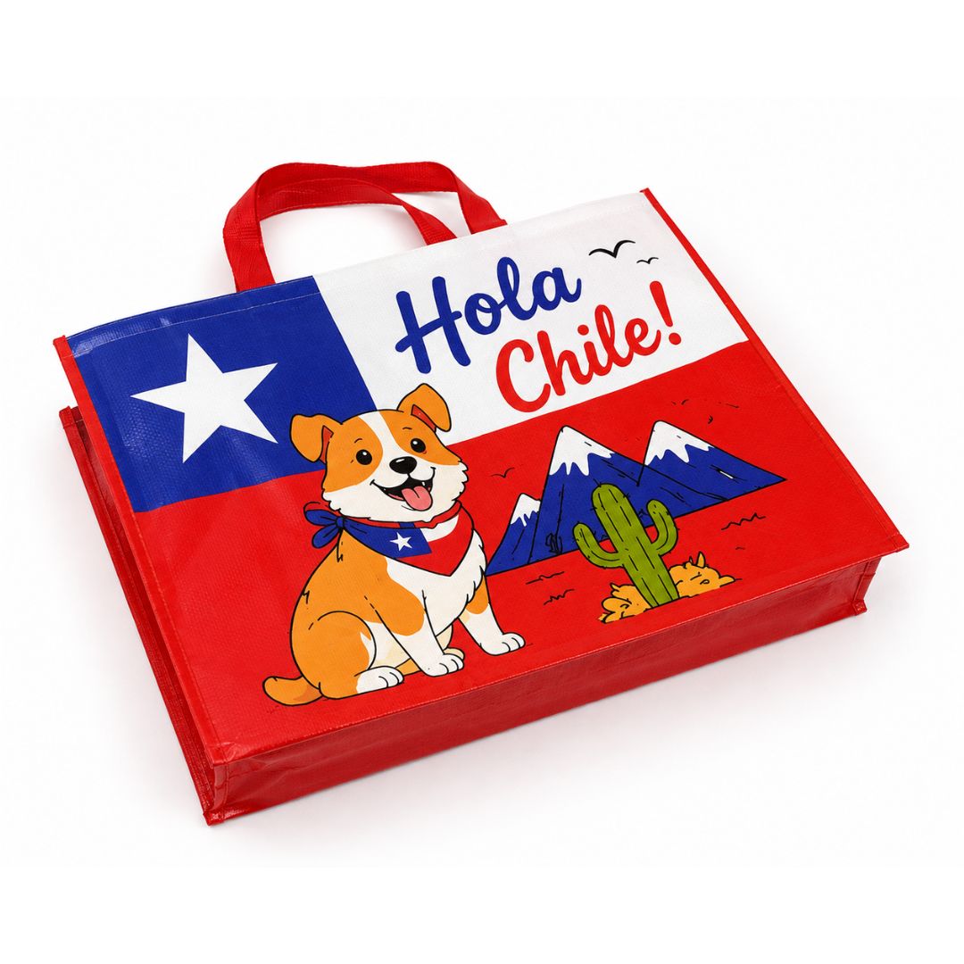 Pack De 12 Bolsa Tejida Ecológica Hola Chile 52x42x20 cm