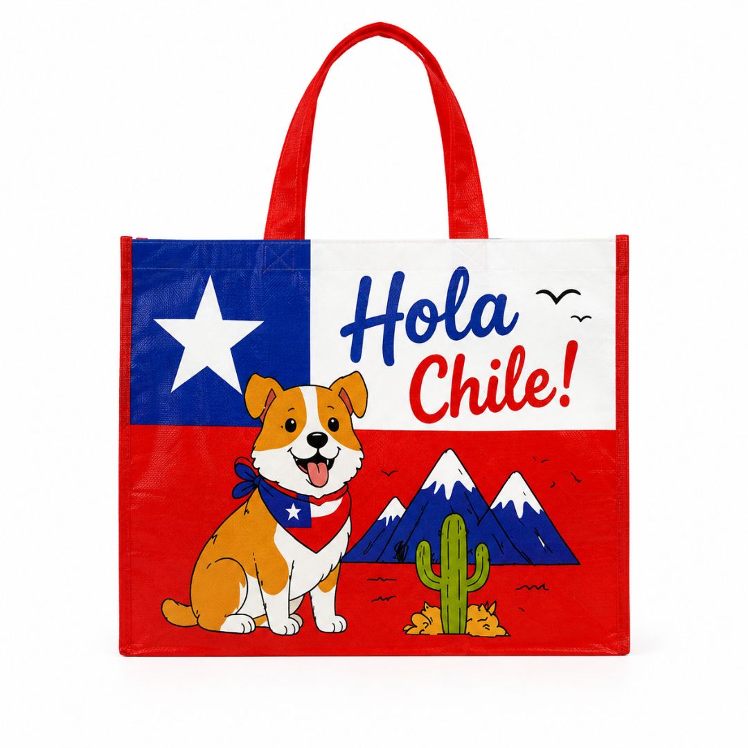 Pack De 12 Bolsa Tejida Ecológica Hola Chile 52x42x20 cm