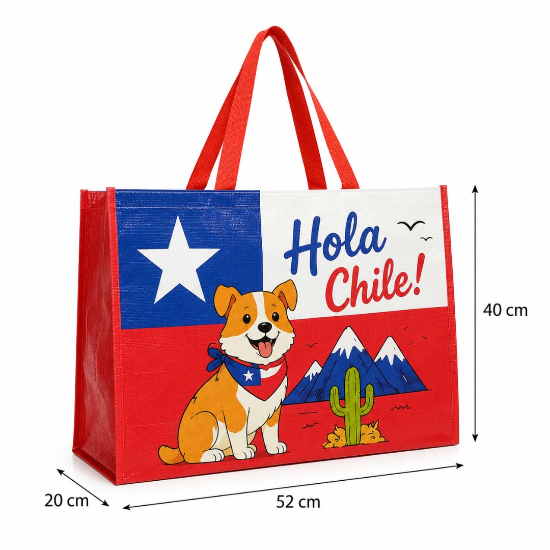 Pack De 12 Bolsa Tejida Ecológica Hola Chile 52x42x20 cm