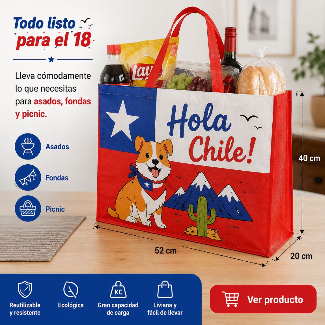Pack De 12 Bolsa Tejida Ecológica Hola Chile 52x42x20 cm